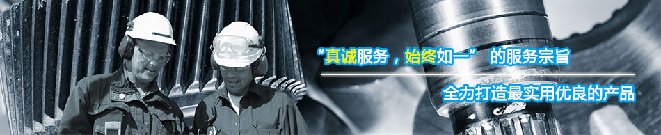 about_zongzhi_03.jpg